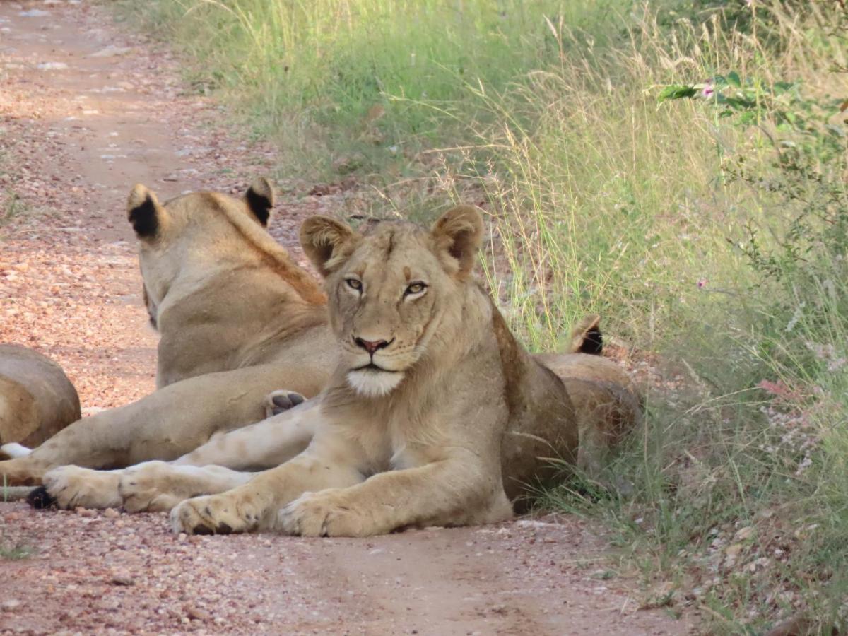 Muweti Bush Lodge Grietjie Game Reserve Εξωτερικό φωτογραφία