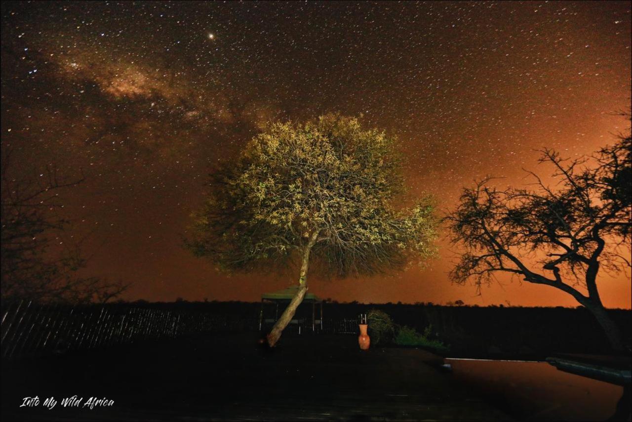 Muweti Bush Lodge Grietjie Game Reserve Εξωτερικό φωτογραφία
