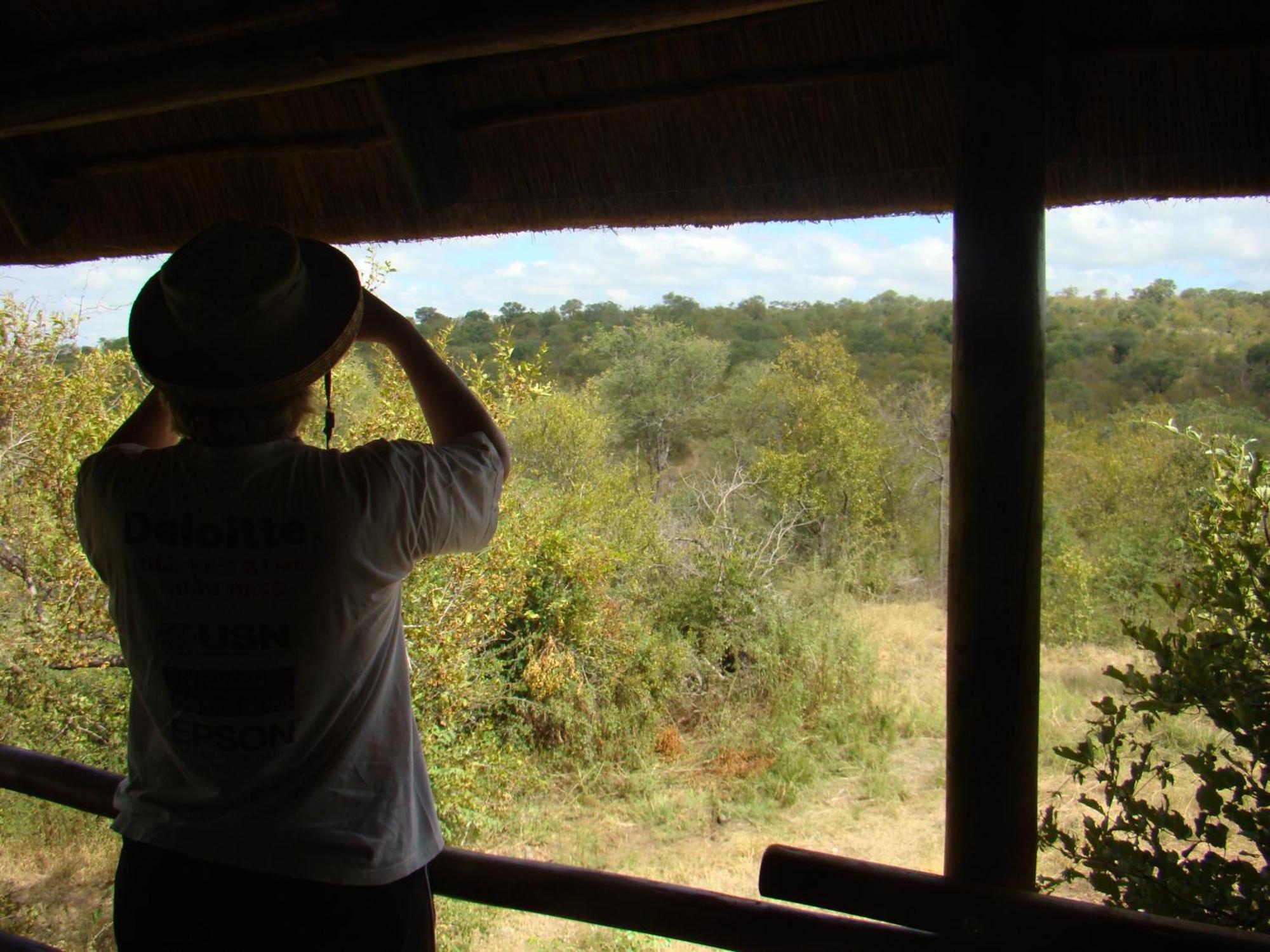 Muweti Bush Lodge Grietjie Game Reserve Δωμάτιο φωτογραφία