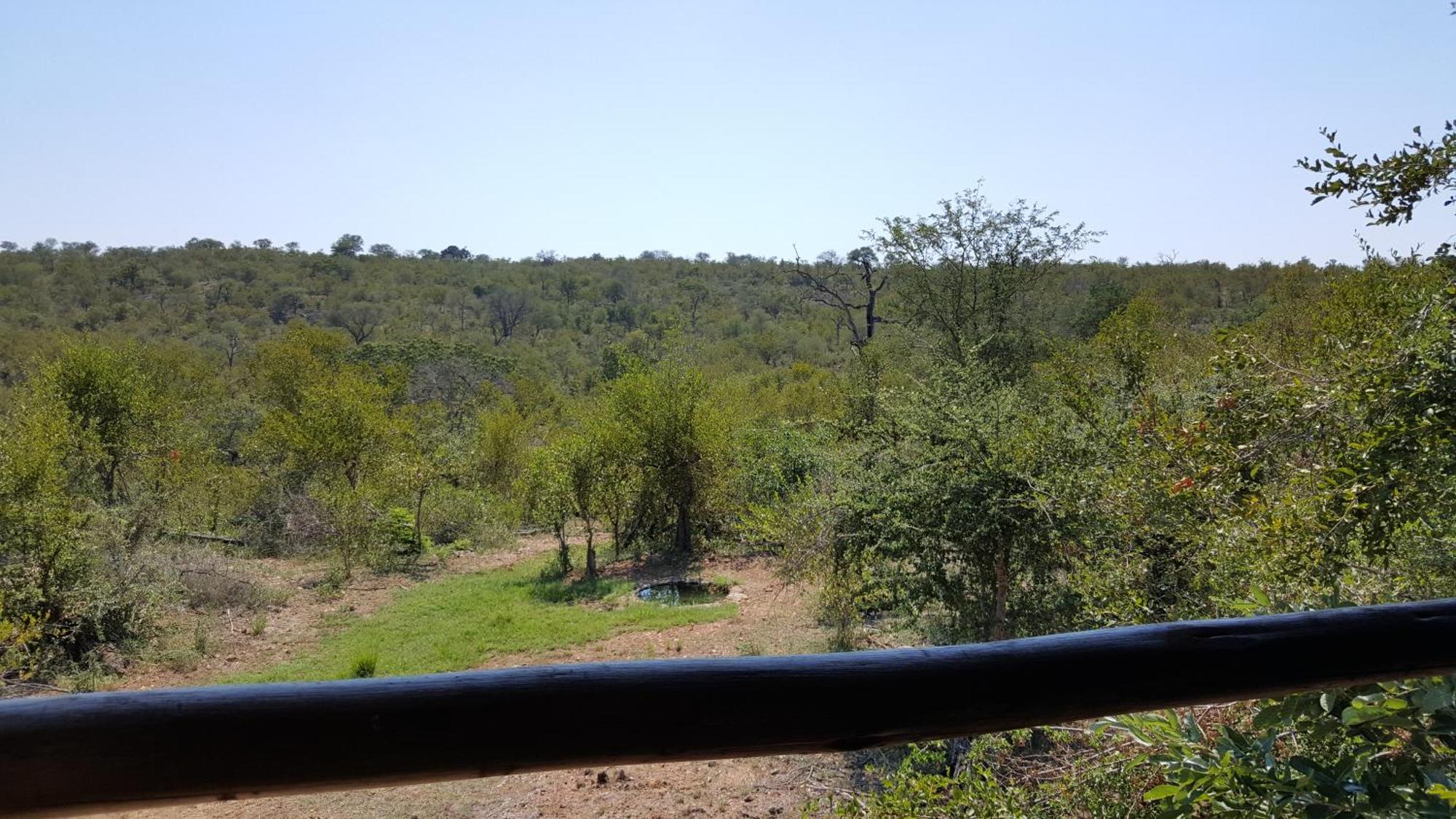 Muweti Bush Lodge Grietjie Game Reserve Δωμάτιο φωτογραφία