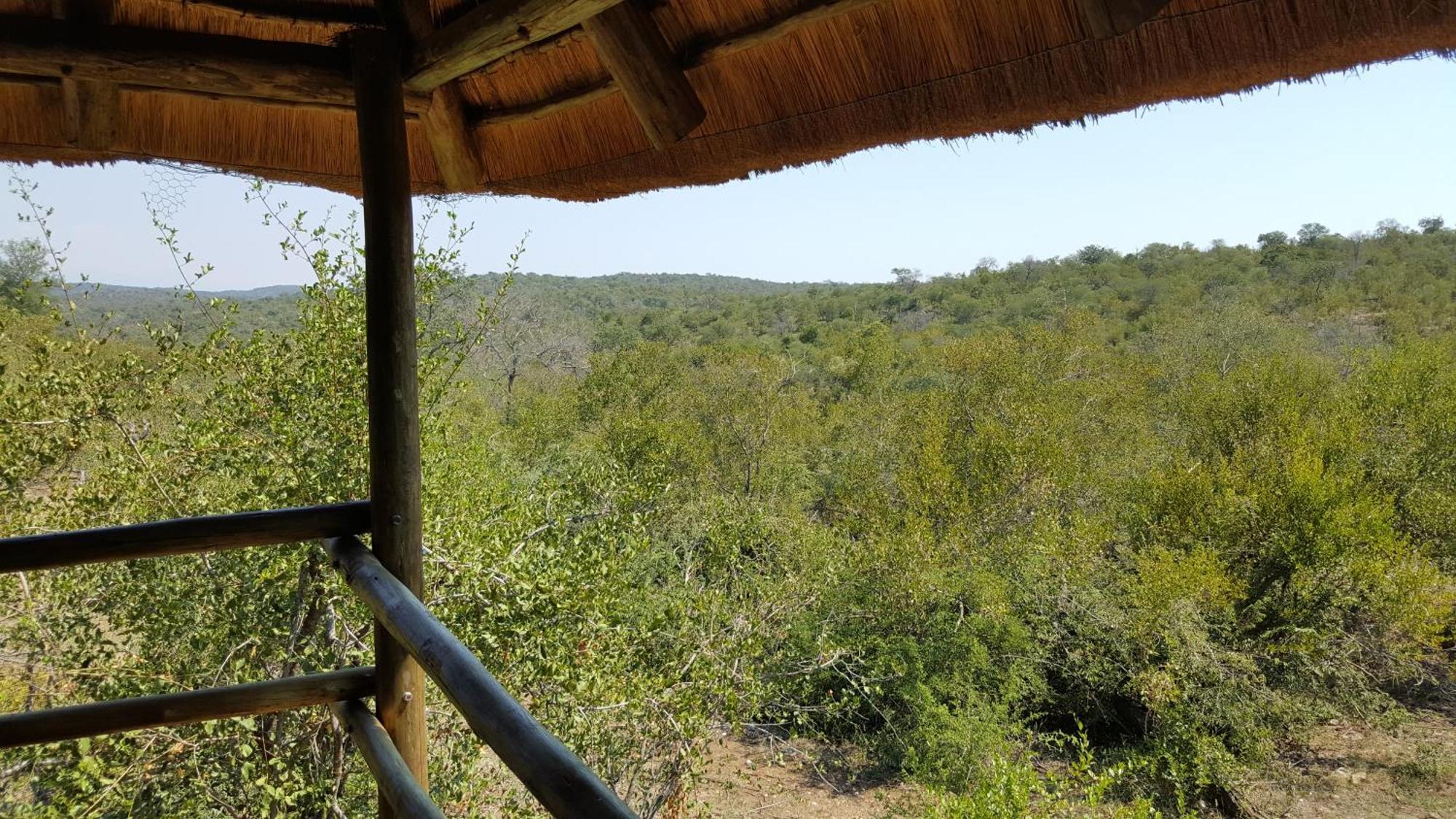 Muweti Bush Lodge Grietjie Game Reserve Δωμάτιο φωτογραφία