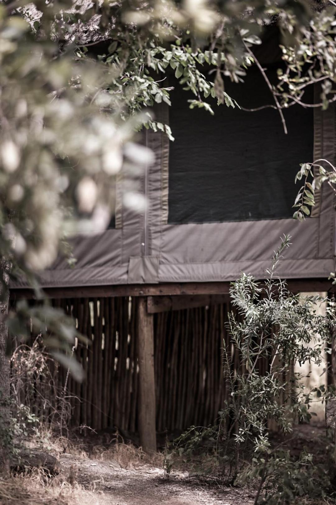 Muweti Bush Lodge Grietjie Game Reserve Εξωτερικό φωτογραφία