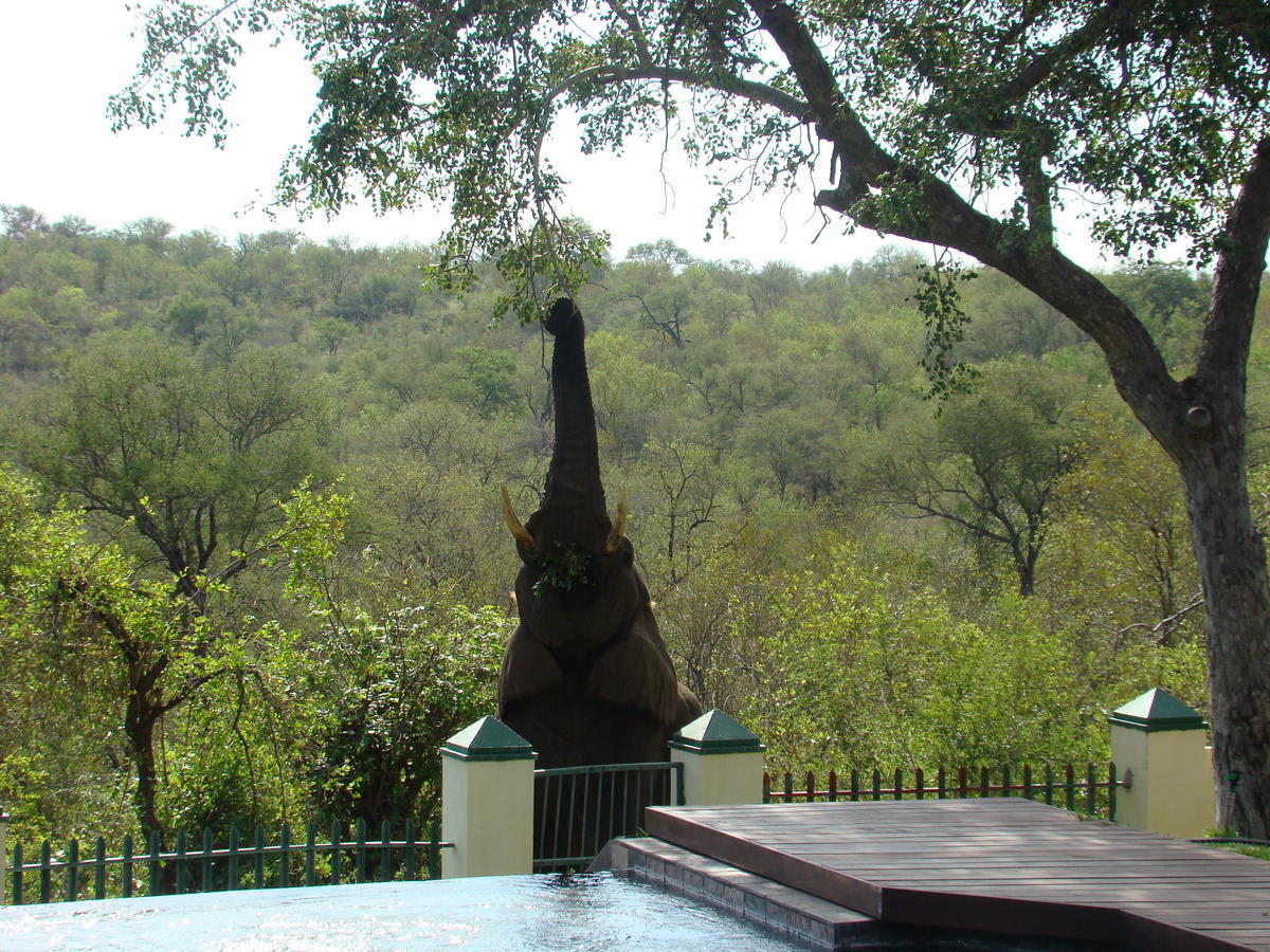 Muweti Bush Lodge Grietjie Game Reserve Εξωτερικό φωτογραφία